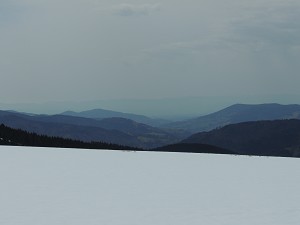 Schwarzwald-Ausblick