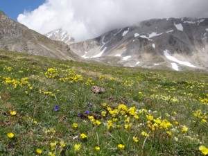 Gran Sasso