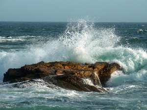 ouessant04.jpg