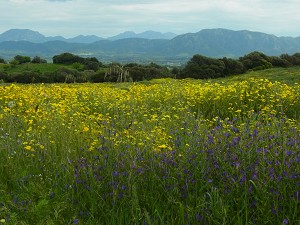 01landschaft