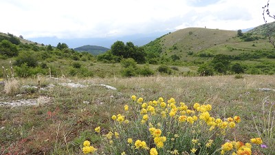 Vitosha