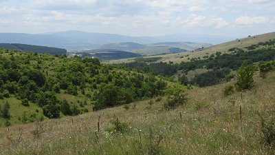 Vitosha