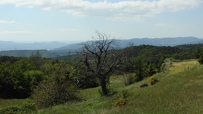 im Département Ardèche