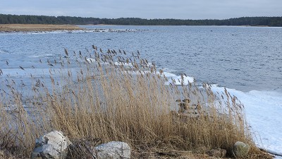 Saaremaa